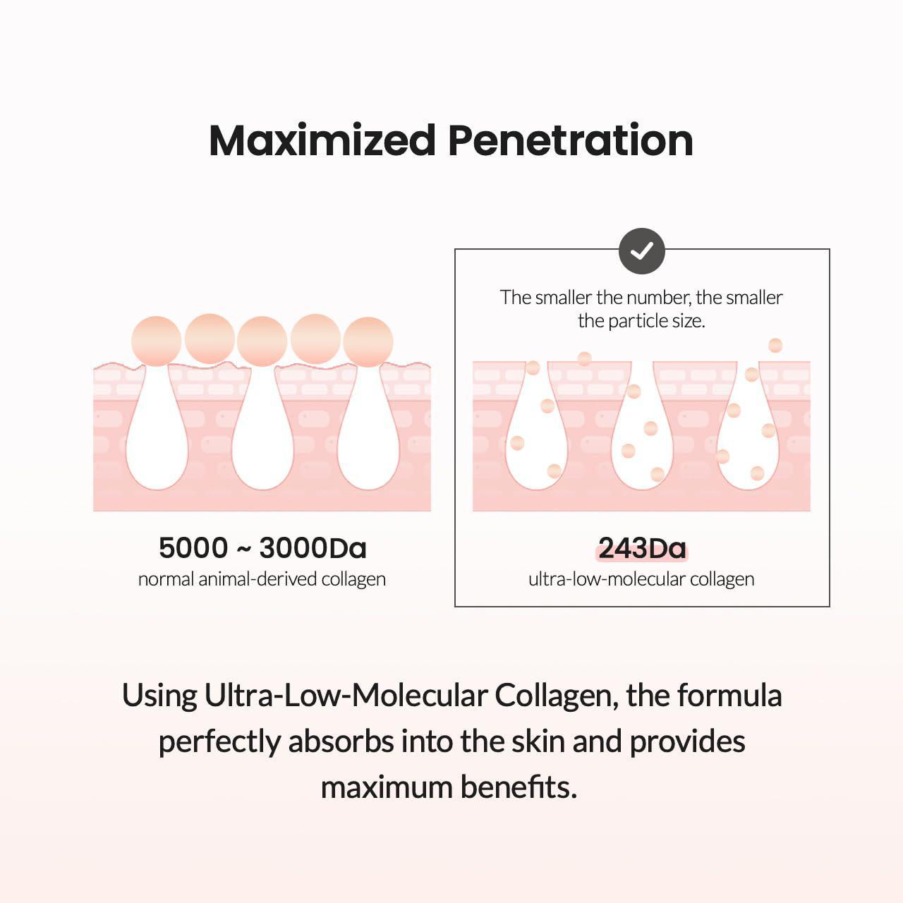 Biodance Pore Tightening Collagen Ampoule 贝欧丹斯胶原蛋白安瓶精华 50mL