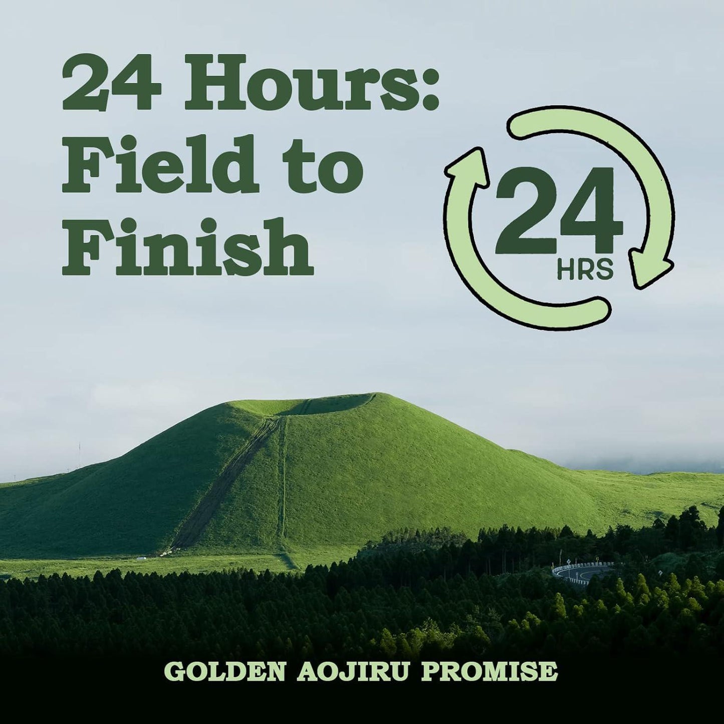 Nihon Yakken Golden Aojiru 日本金青汁原味 46p