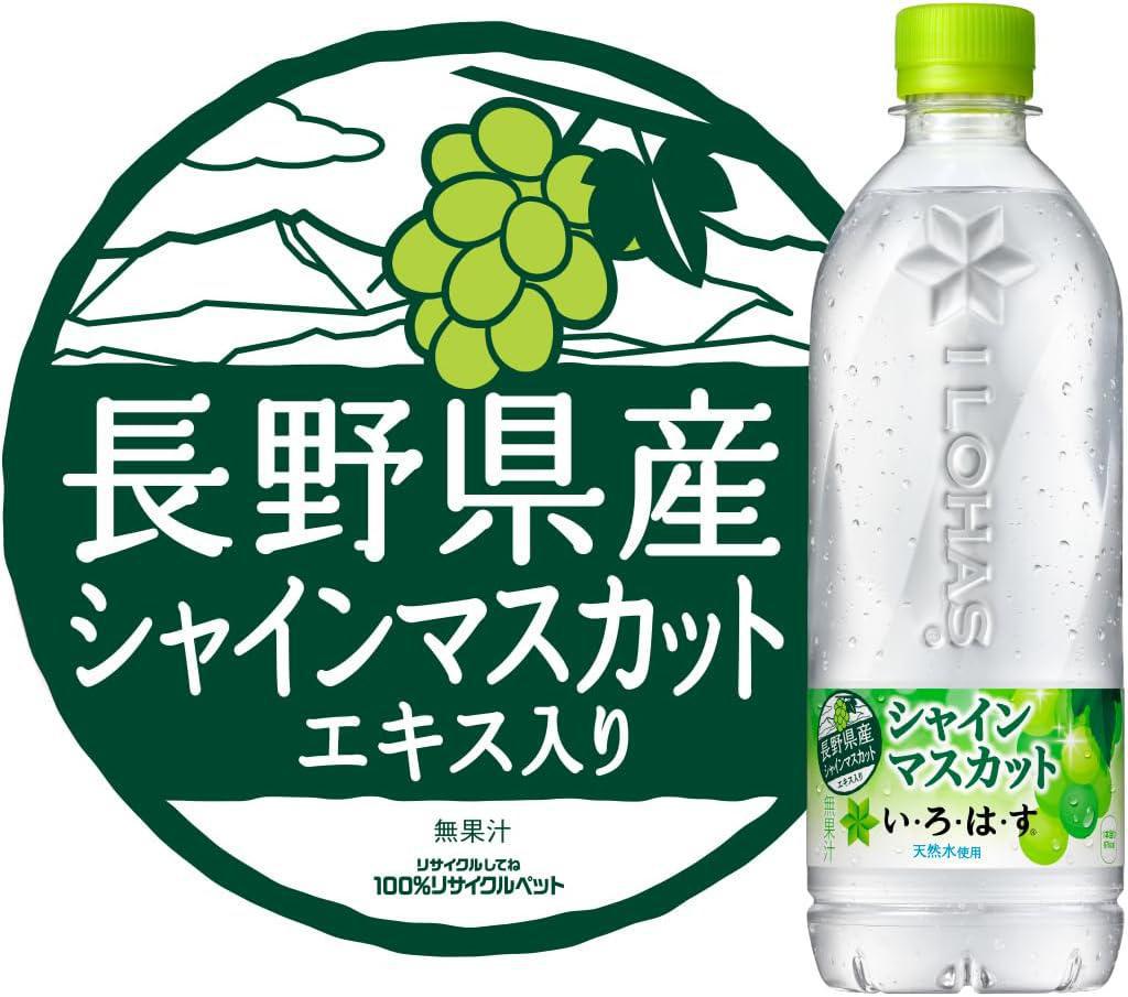 Coca Cola Water Muscat Flavor 可口可乐天然矿泉水葡萄饮料 540mL