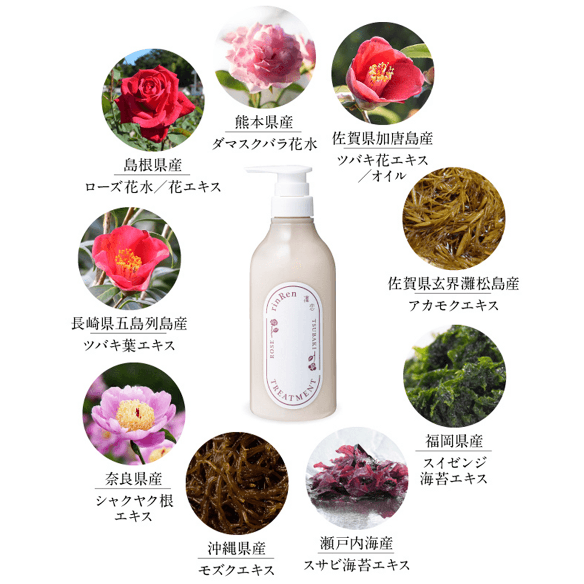 RinRen Rose & Tsubaki 凛恋玫瑰与茶花洗发护发 480mL