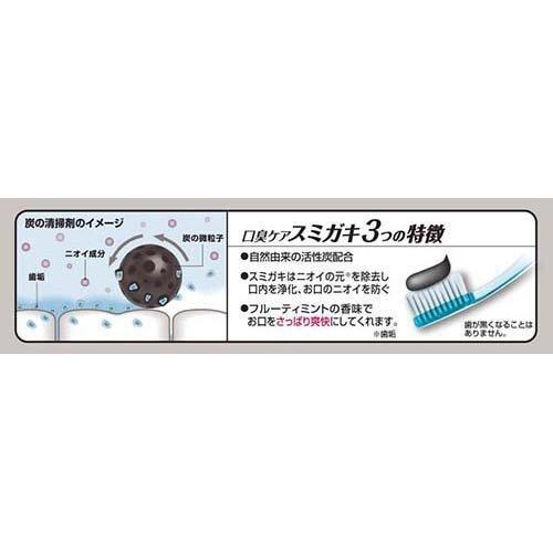 KOBAYASHI Charcoal Toothpaste for Odor Control and Whitening 小林制药竹炭亮白牙膏 100g