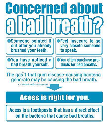 Sato Pharmaceutical Access Toothpaste 佐藤制药缓解牙龈敏感牙周炎牙膏薄荷
