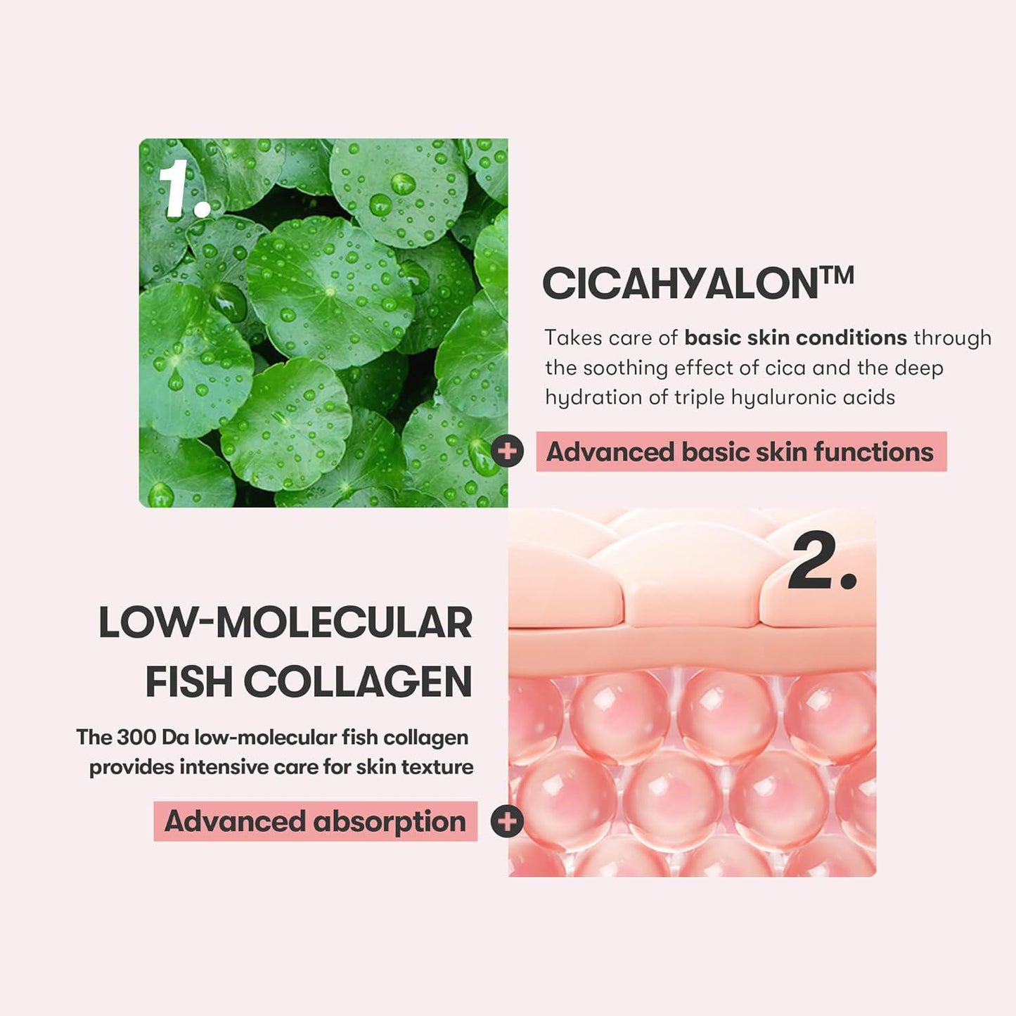 VT COSMETICS Cica Collagen Essence 薇缔积雪草胶原蛋白精华 30mL