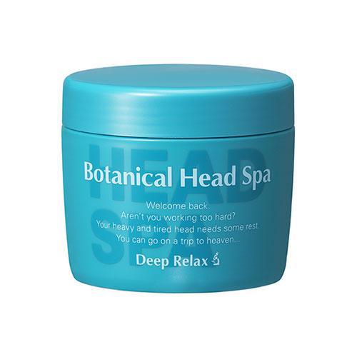 Ishizawa Lab Kaizen Botanical Head Spa 石泽研究所发质改善植物修护发膜 270g