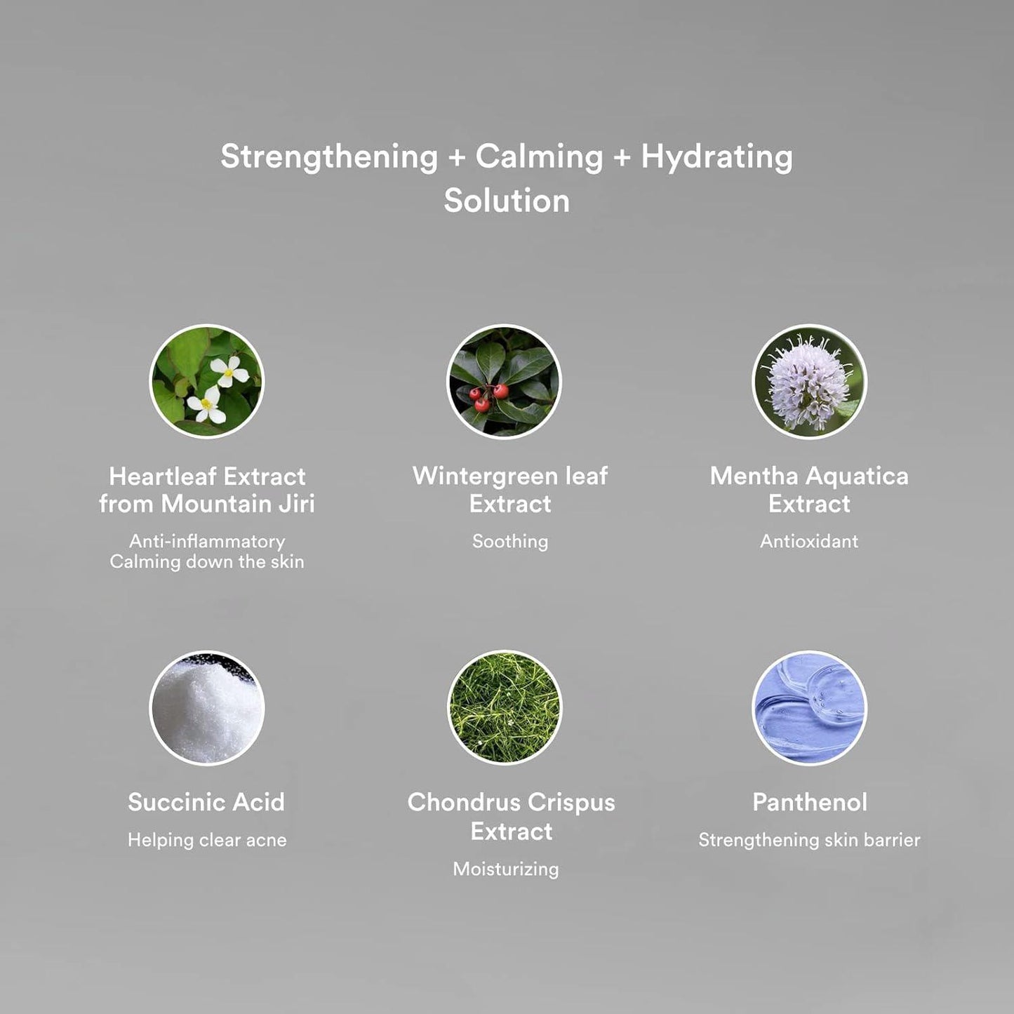 Abib Heartleaf Essence Calming Pump 阿彼芙鱼腥草舒缓精华 50mL