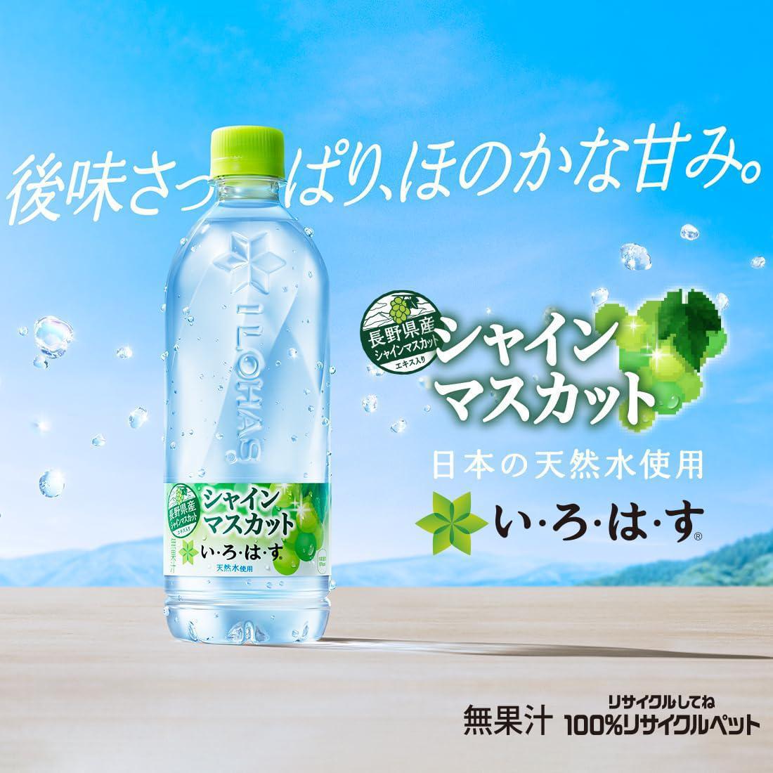Coca Cola Water Muscat Flavor 可口可乐天然矿泉水葡萄饮料 540mL