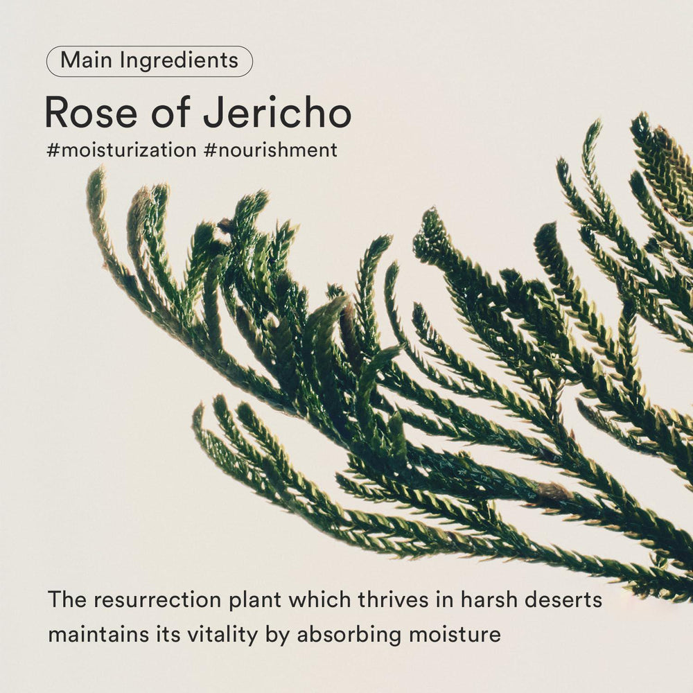 
                      
                        Abib Jericho rose bifida serum firming drop 阿彼芙滋润保湿精华液 50mL
                      
                    