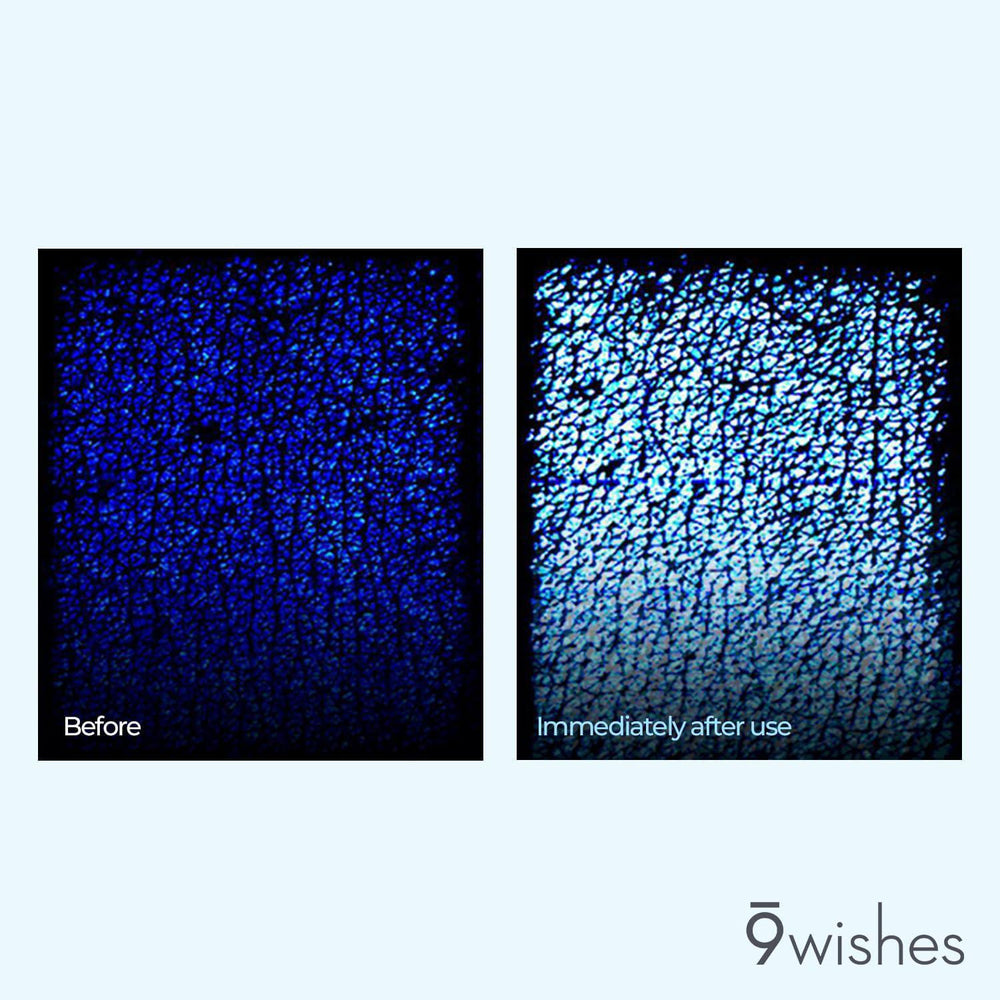 
                      
                        9wishes Hydra Ampule Coconut Water & Hyaluronic Acid Face Toner 娜薇诗水氧保湿爽肤水 150mL
                      
                    