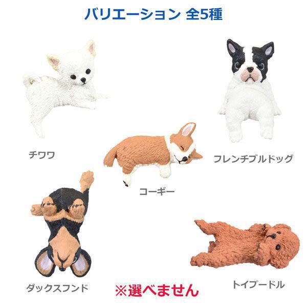 
                      
                        Blind Box Resting Dog 1 小狗盲盒
                      
                    