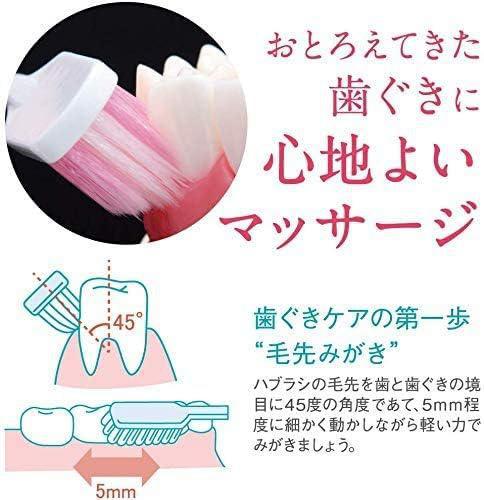 
                      
                        Lion Systema Haguki Plus Compact Head Toothbrush 狮王密齿牙刷
                      
                    