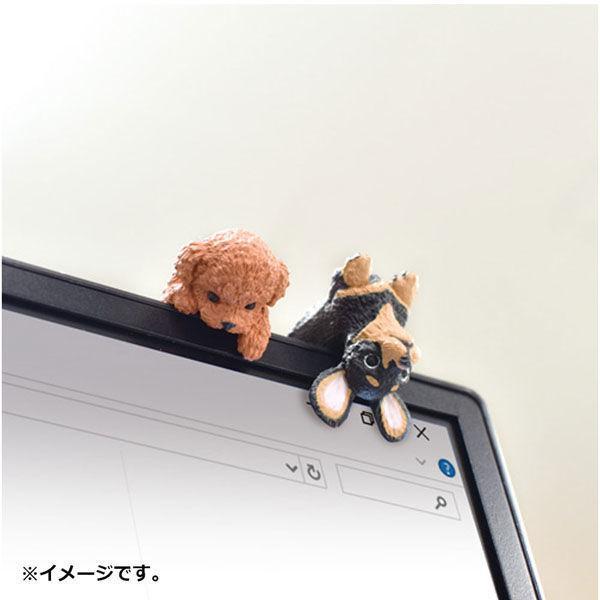 
                      
                        Blind Box Resting Dog 1 小狗盲盒
                      
                    
