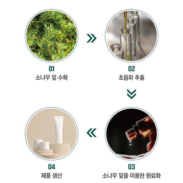 
                      
                        ROUND LAB Pine Calming Cica Cream 柔恩莱松树舒缓积雪草保湿面霜 50mL
                      
                    