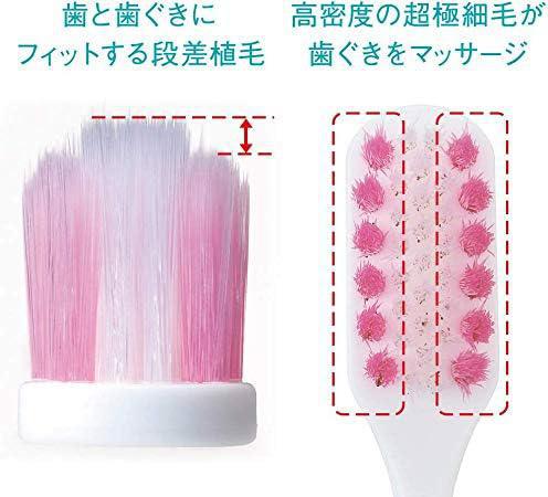
                      
                        Lion Systema Haguki Plus Compact Head Toothbrush 狮王密齿牙刷
                      
                    
