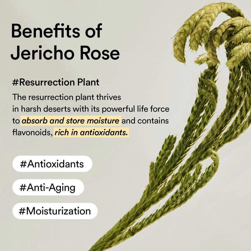 
                      
                        Abib Collagen Eye Creme Jericho Rose Tube 阿彼芙复活草胶原蛋白眼霜 30mL
                      
                    