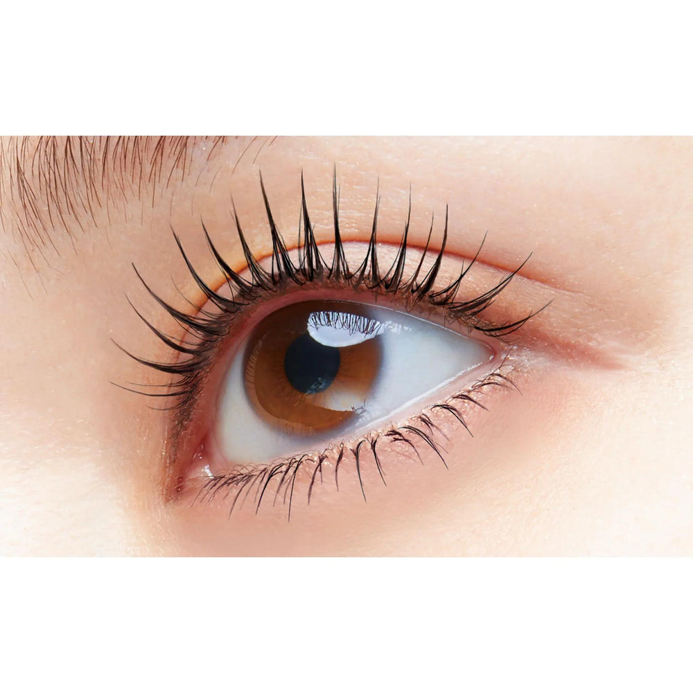 
                      
                        D-UP Hyper Lift Mascara 日本D-UP睫毛膏
                      
                    