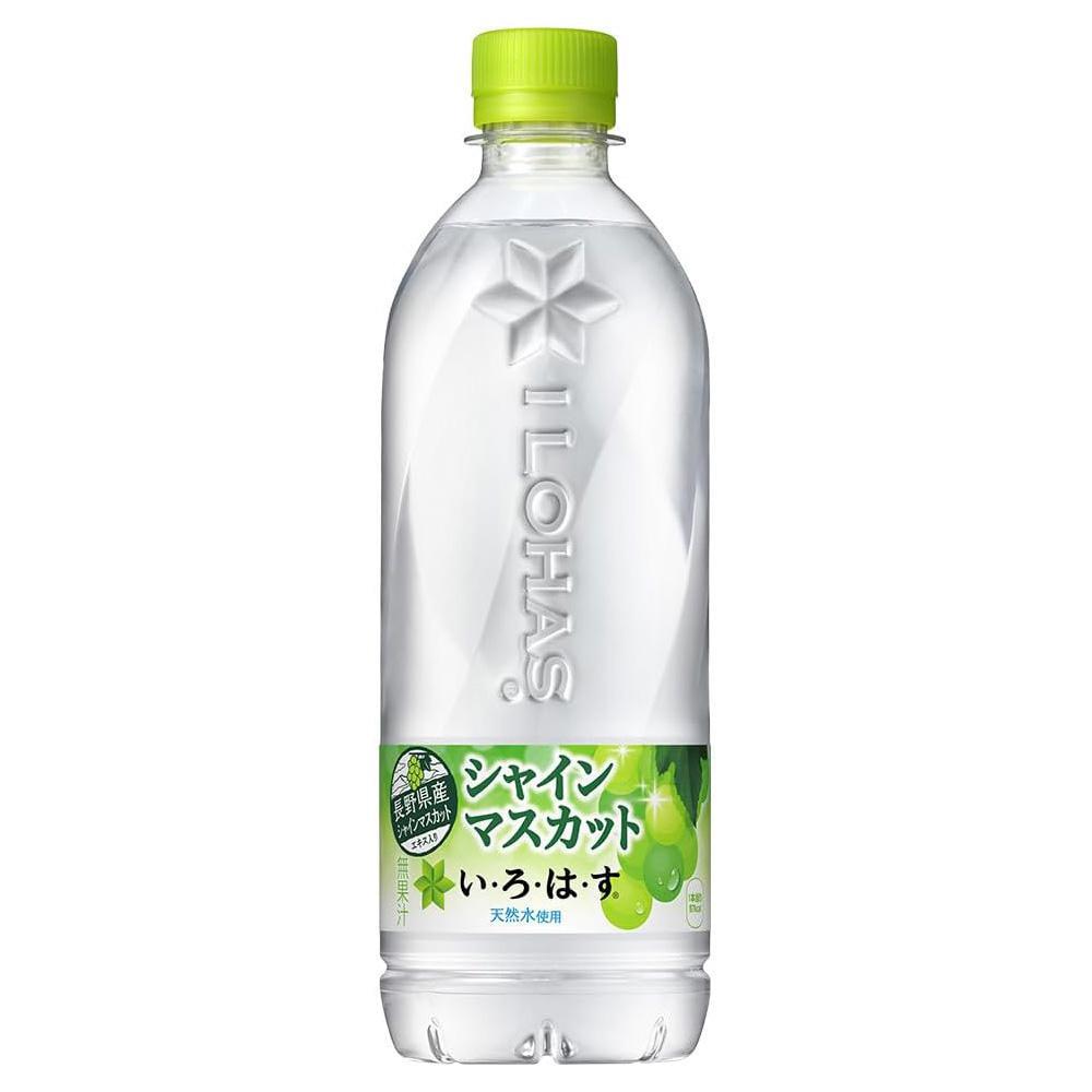 Coca Cola Water Muscat Flavor 可口可乐天然矿泉水葡萄饮料 540mL