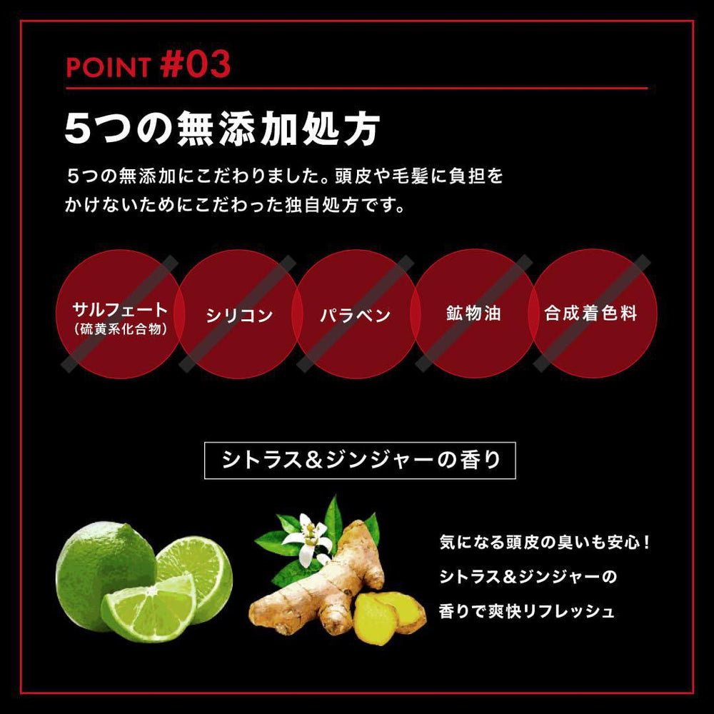 
                      
                        ANGFA Scalp Next Protein 5 Shampoo 日本ANGFA防脱滋养洗发水
                      
                    