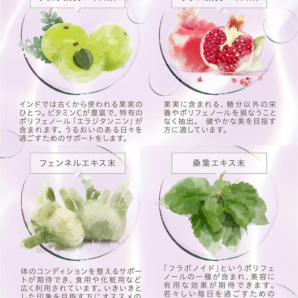 
                      
                        AXXZIA AG Theory AG Drink New 晓姿抗糖口服液 黑色包装
                      
                    