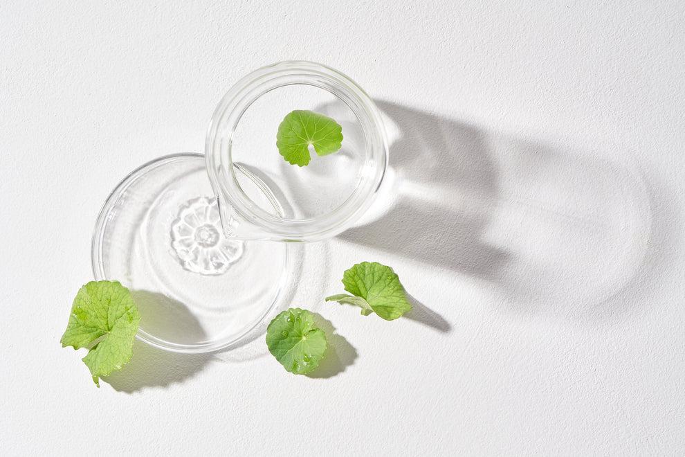 
                      
                        Mixsoon Centella Cleansing Water 韩国Mixsoon舒缓肌肤爽肤水 300mL
                      
                    