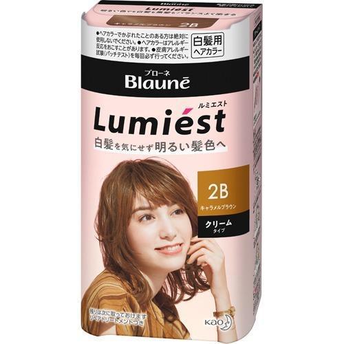 
                      
                        KAO BLAUNE KAO BLAUNE LUMIEST HAIR COLOR（白发用）
                      
                    