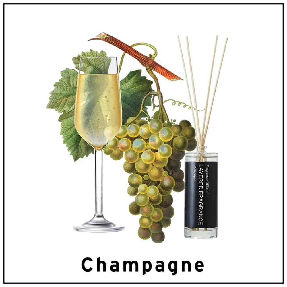 
                      
                        Layered Fragrance Diffuser 100ml Champagne 香槟液体香薰
                      
                    
