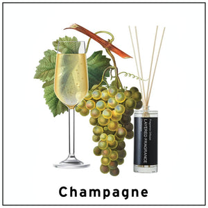 Layered Fragrance Diffuser 100ml Champagne 香槟液体香薰